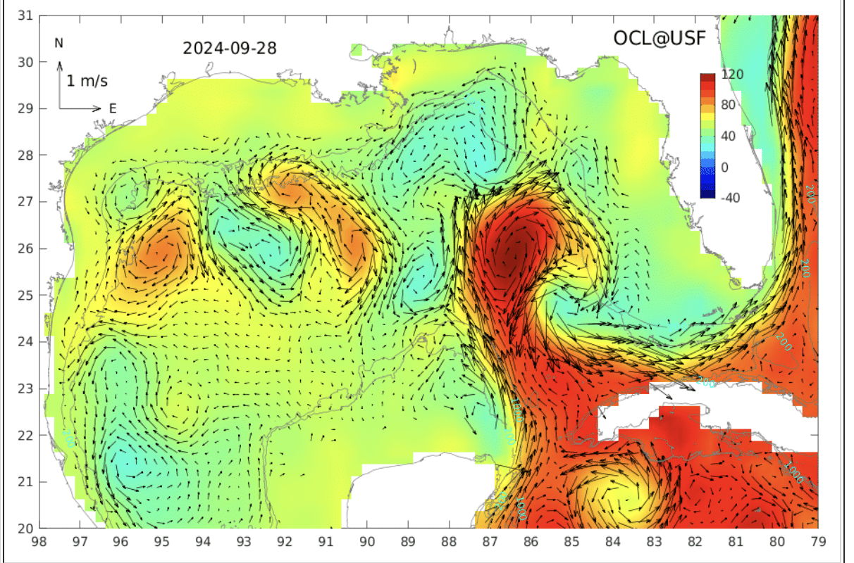 Screenshot 2024 10 28 At 9.31.35 AM